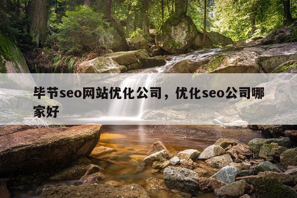 毕节seo网站优化公司，优化seo公司哪家好