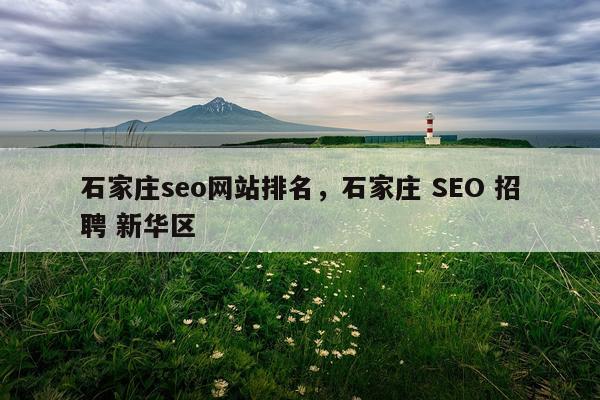 石家庄seo网站排名，石家庄 SEO 招聘 新华区