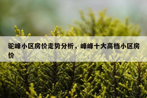 驼峰小区房价走势分析，峰峰十大高档小区房价