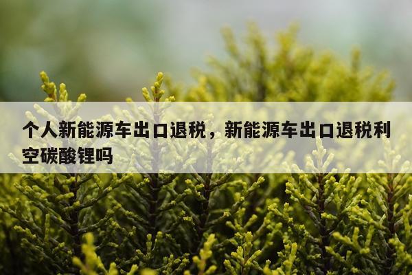 个人新能源车出口退税，新能源车出口退税利空碳酸锂吗