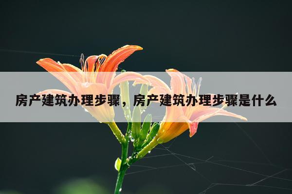 房产建筑办理步骤，房产建筑办理步骤是什么