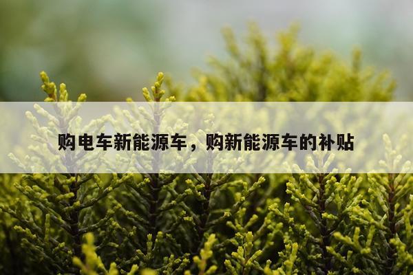 购电车新能源车，购新能源车的补贴