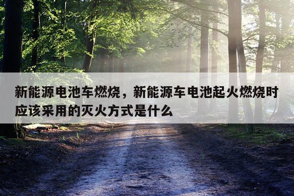 新能源电池车燃烧，新能源车电池起火燃烧时应该采用的灭火方式是什么