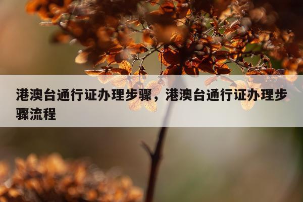 港澳台通行证办理步骤，港澳台通行证办理步骤流程