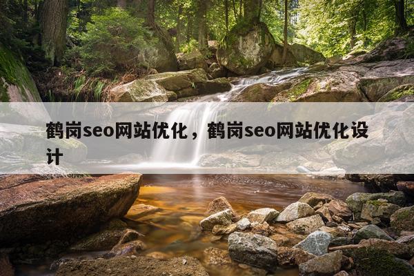 鹤岗seo网站优化，鹤岗seo网站优化设计