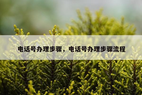 电话号办理步骤，电话号办理步骤流程