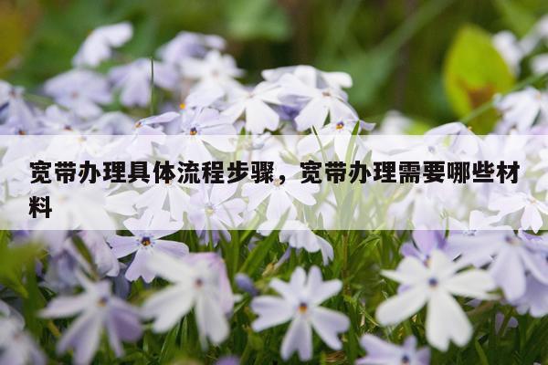宽带办理具体流程步骤，宽带办理需要哪些材料