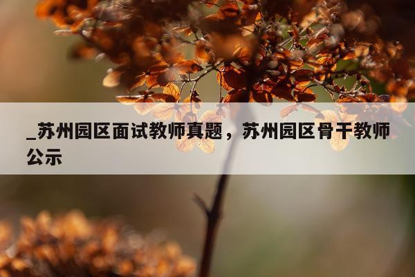 _苏州园区面试教师真题，苏州园区骨干教师公示
