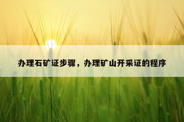 办理石矿证步骤，办理矿山开采证的程序
