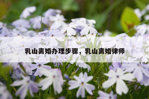 乳山离婚办理步骤，乳山离婚律师