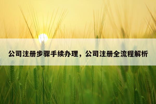 公司注册步骤手续办理，公司注册全流程解析