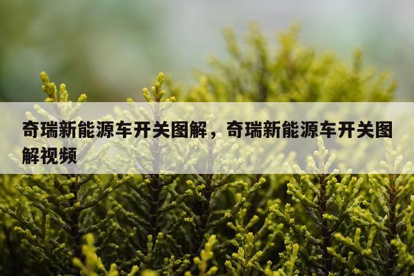 奇瑞新能源车开关图解，奇瑞新能源车开关图解视频