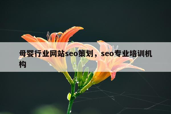 母婴行业网站seo策划，seo专业培训机构