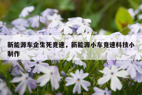 新能源车企生死竞速，新能源小车竞速科技小制作