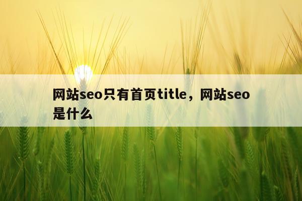 网站seo只有首页title,网站seo是什么