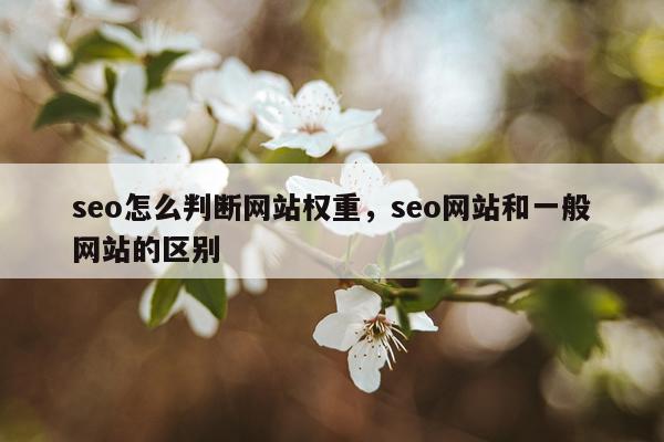 seo怎么判断网站权重,seo网站和一般网站的区别