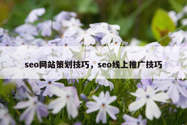 seo网站策划技巧,seo线上推广技巧