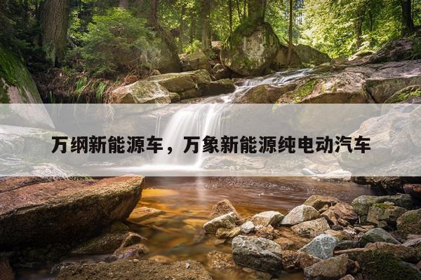 万纲新能源车,万象新能源纯电动汽车