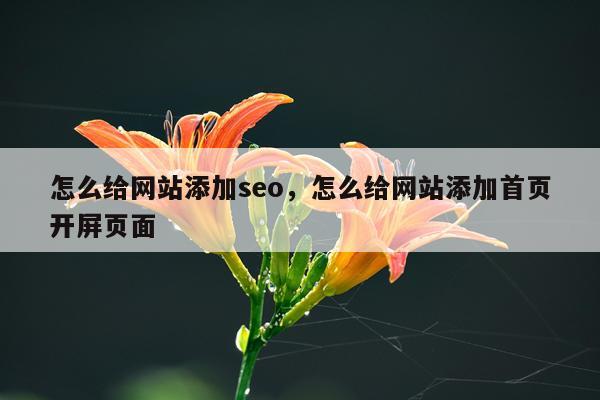 怎么给网站添加seo,怎么给网站添加首页开屏页面
