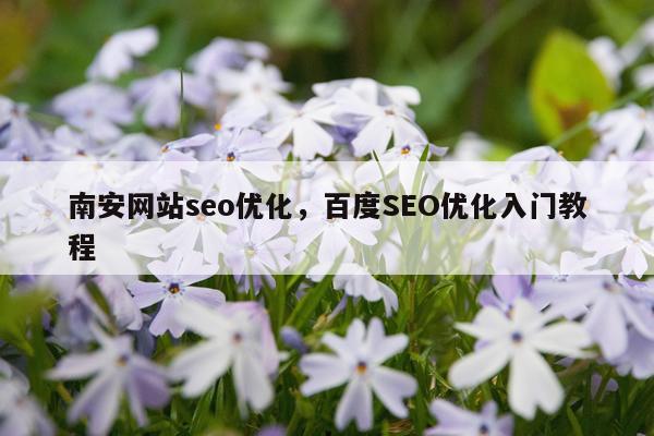 南安网站seo优化,百度SEO优化入门教程