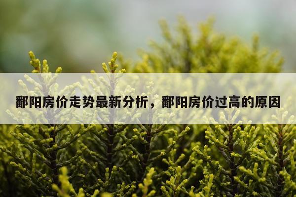 鄱阳房价走势最新分析,鄱阳房价过高的原因