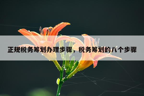 正规税务筹划办理步骤,税务筹划的八个步骤