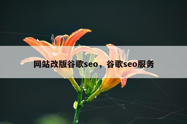 网站改版谷歌seo,谷歌seo服务