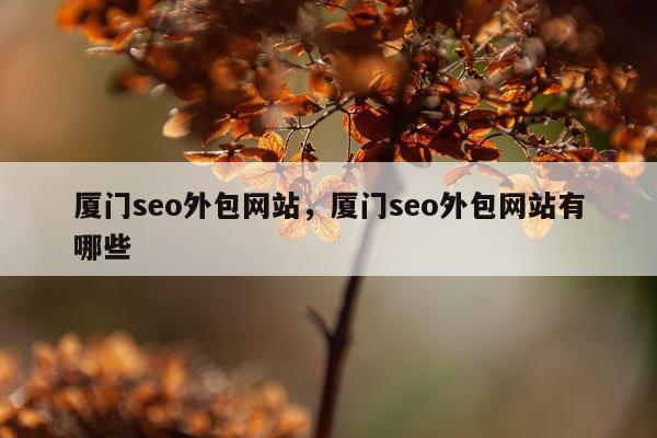 厦门seo外包网站,厦门seo外包网站有哪些