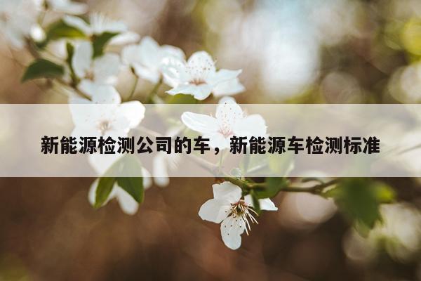 新能源检测公司的车,新能源车检测标准