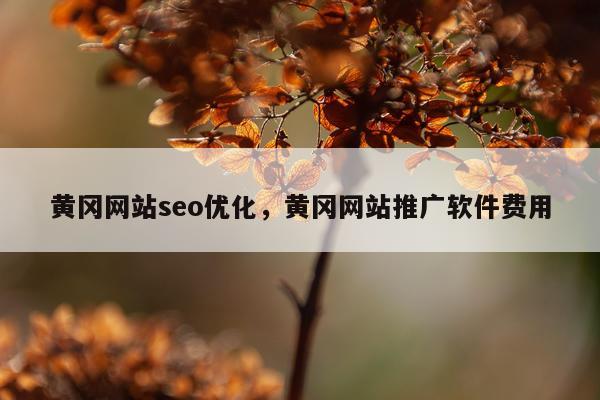 黄冈网站seo优化,黄冈网站推广软件费用