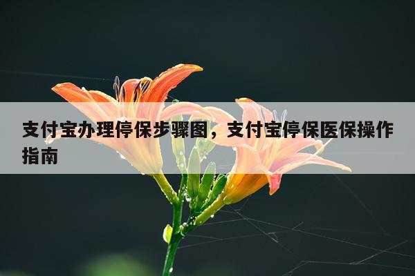 支付宝办理停保步骤图,支付宝停保医保操作指南