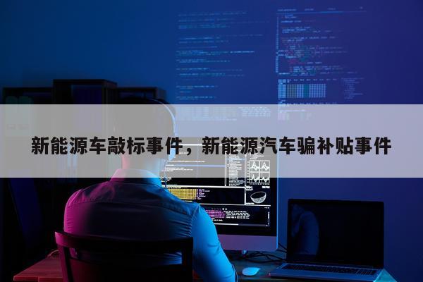 新能源车敲标事件,新能源汽车骗补贴事件