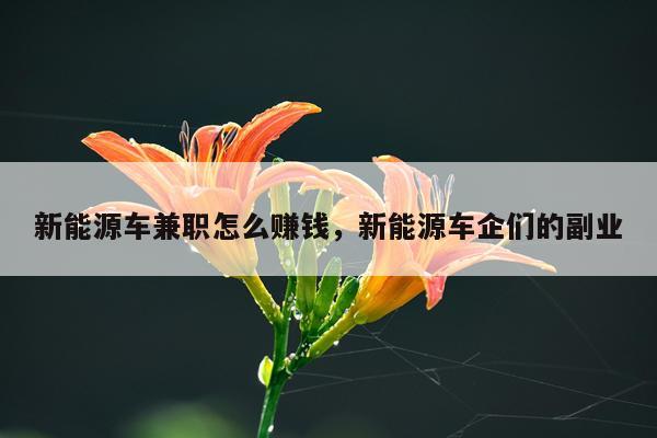 新能源车兼职怎么赚钱,新能源车企们的副业