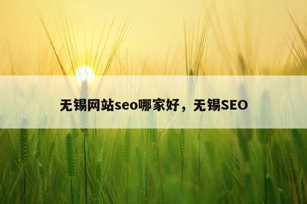 无锡网站seo哪家好,无锡SEO