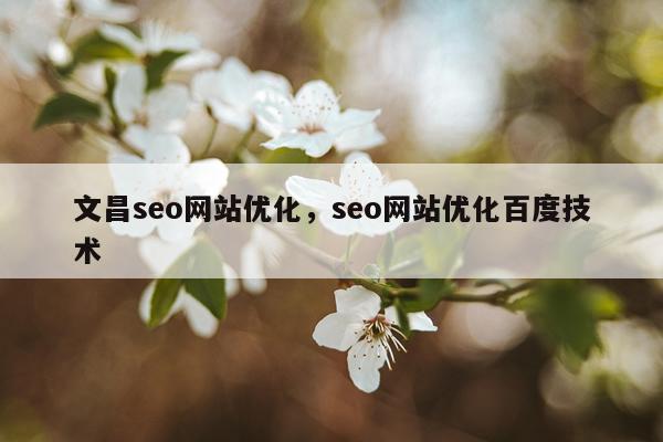 文昌seo网站优化,seo网站优化百度技术