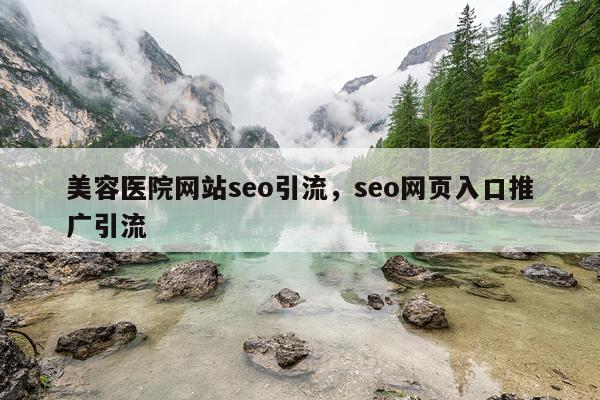 美容医院网站seo引流,seo网页入口推广引流