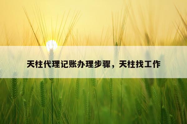 天柱代理记账办理步骤,天柱找工作