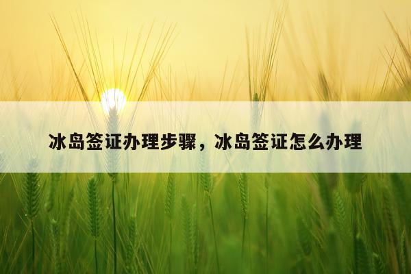 冰岛签证办理步骤,冰岛签证怎么办理