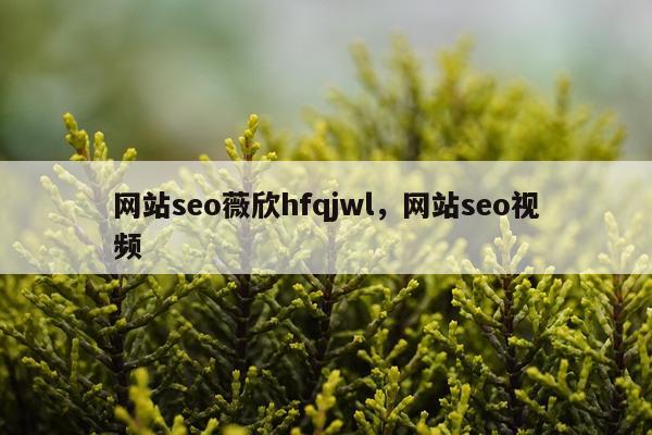 网站seo薇欣hfqjwl,网站seo视频