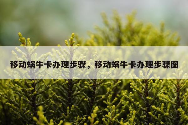 移动蜗牛卡办理步骤,移动蜗牛卡办理步骤图
