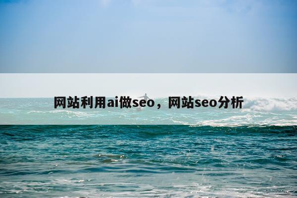 网站利用ai做seo,网站seo分析