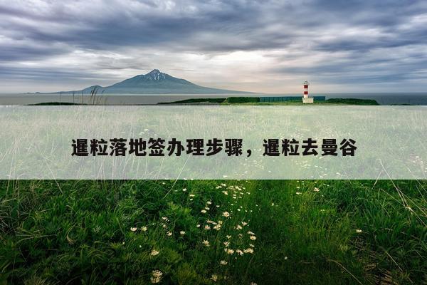 暹粒落地签办理步骤,暹粒去曼谷