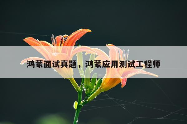 鸿蒙面试真题,鸿蒙应用测试工程师