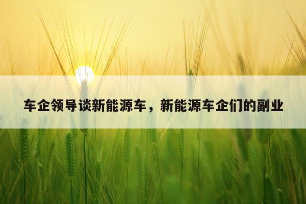 车企领导谈新能源车,新能源车企们的副业