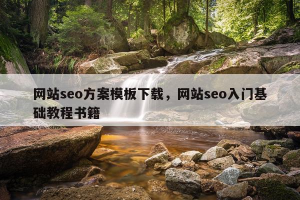 网站seo方案模板下载,网站seo入门基础教程书籍