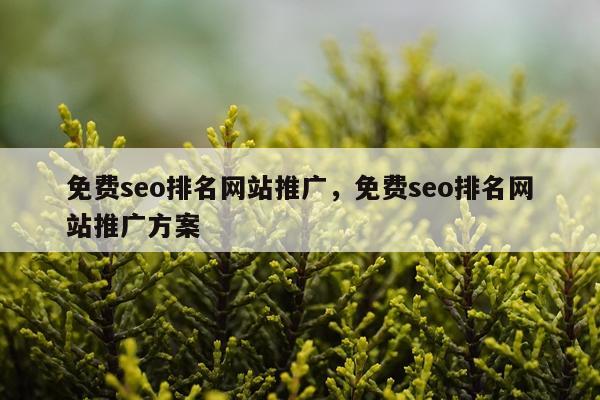 免费seo排名网站推广,免费seo排名网站推广方案