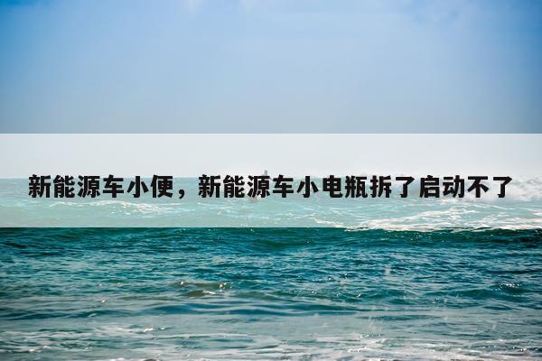 新能源车小便,新能源车小电瓶拆了启动不了