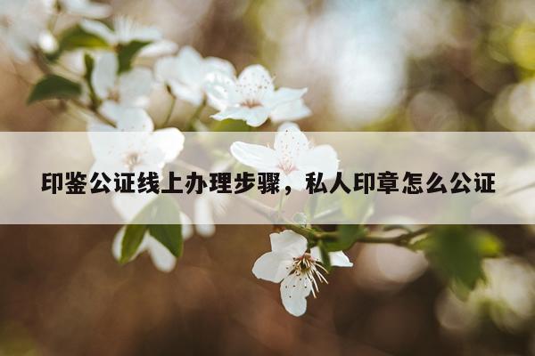 印鉴公证线上办理步骤,私人印章怎么公证