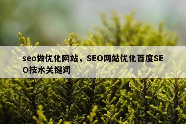 seo做优化网站,SEO网站优化百度SEO技术关键词