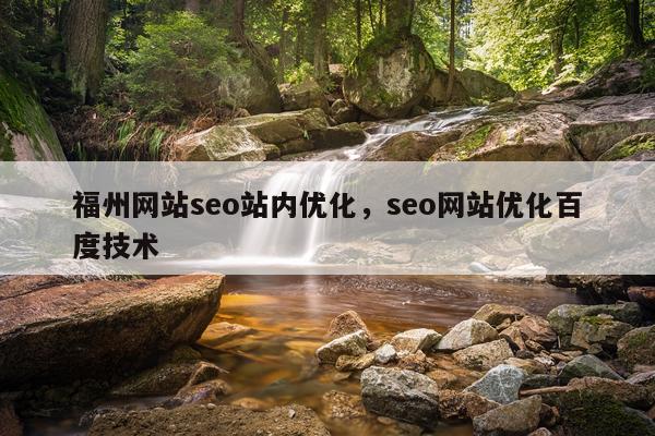 福州网站seo站内优化,seo网站优化百度技术